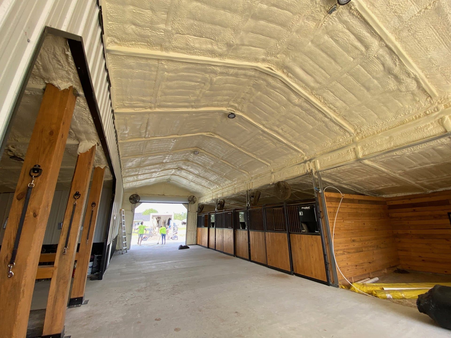 Interior of a horse stable with wooden stalls and spray foam insulation on the ceiling.