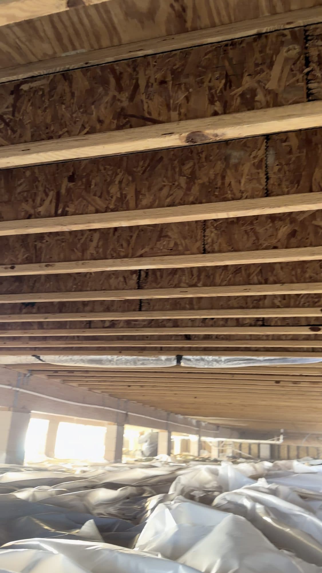 Wooden floor joists and OSB subflooring above white plastic vapor barrier in a crawl space.